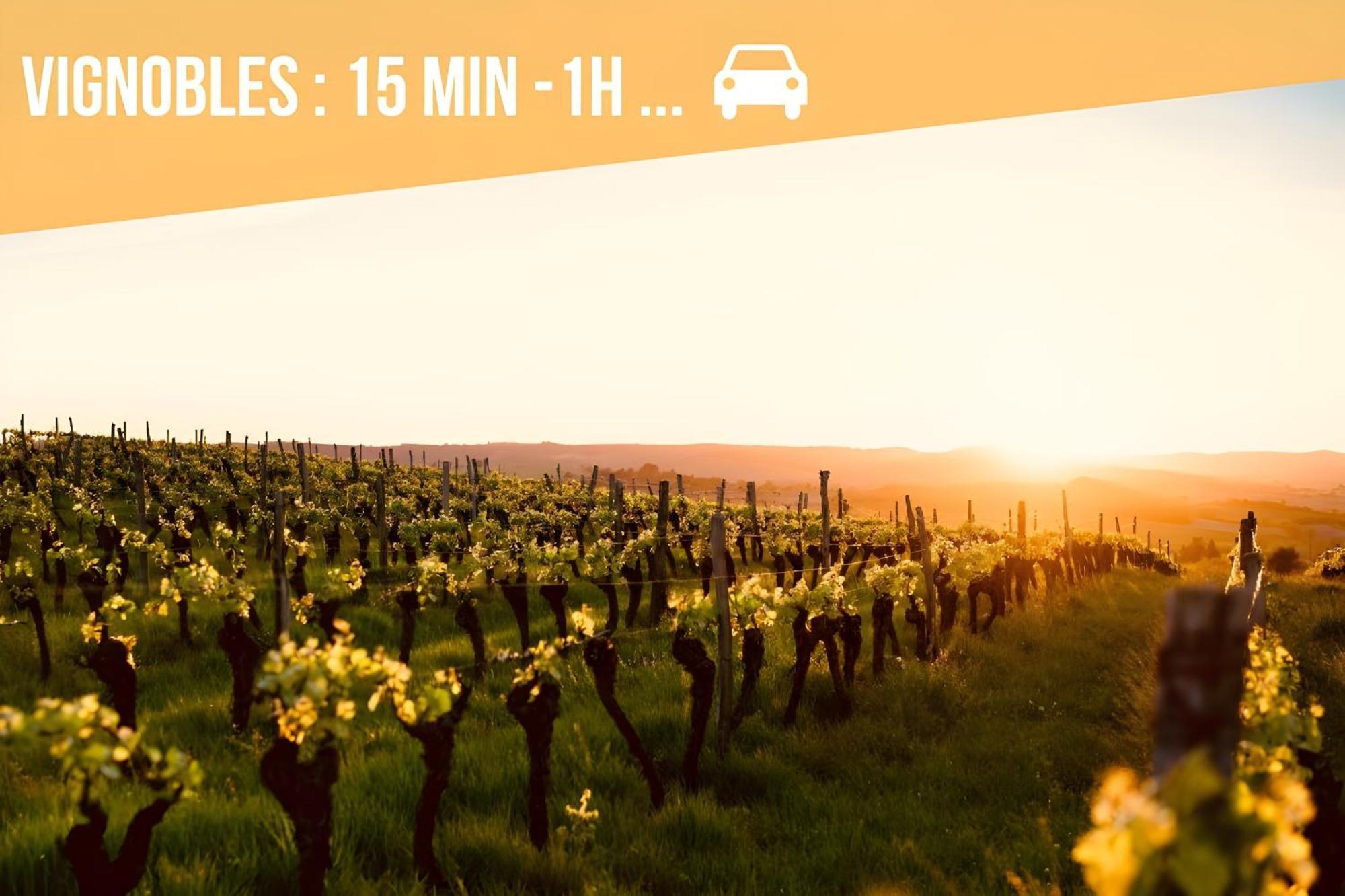 Le Golden - Home Homy Vierzon Luaran gambar